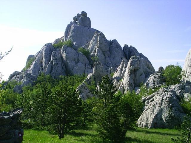 Apartments & Villa Tisno Обровац Экстерьер фото
